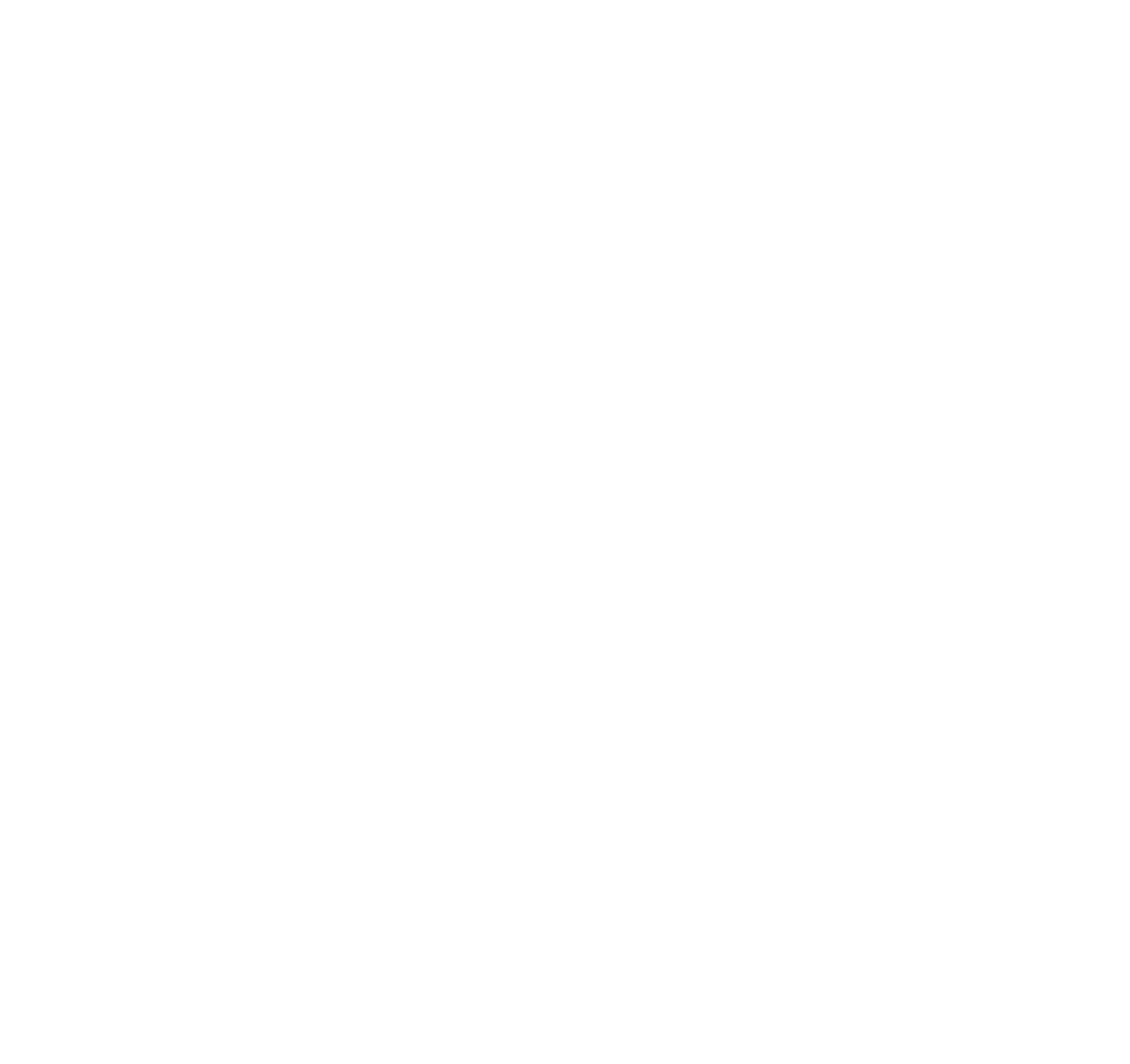 WAVV LAB Logo